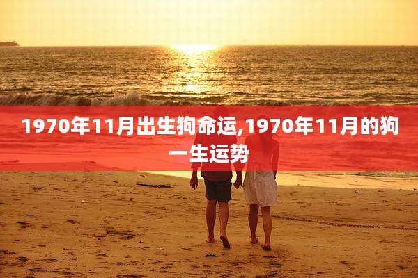 1970年11月出生狗命运,1970年11月的狗一生运势