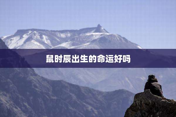 鼠时辰出生的命运好吗