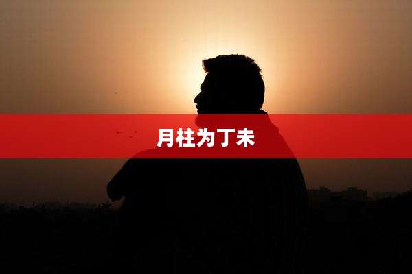 月柱为丁未