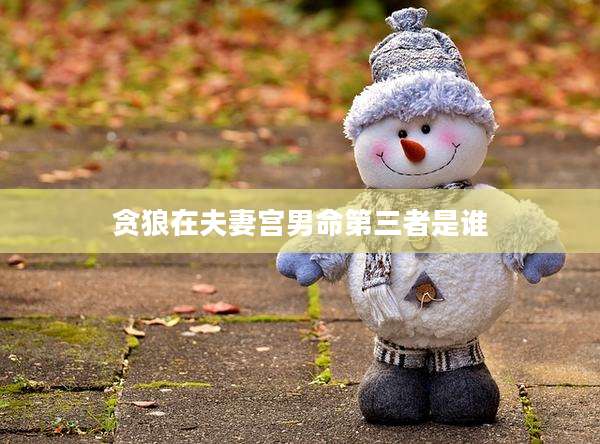 贪狼在夫妻宫男命第三者是谁
