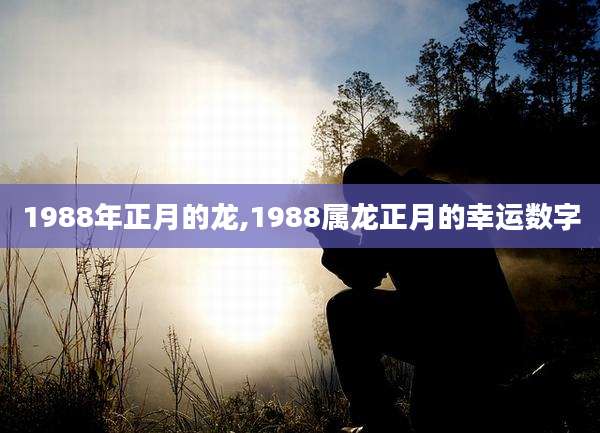 1988年正月的龙,1988属龙正月的幸运数字
