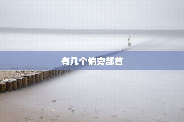 有几个偏旁部首