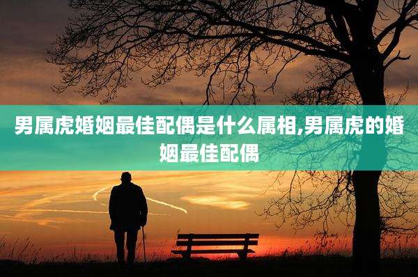 男属虎婚姻最佳配偶是什么属相,男属虎的婚姻最佳配偶