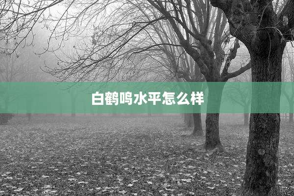白鹤鸣水平怎么样