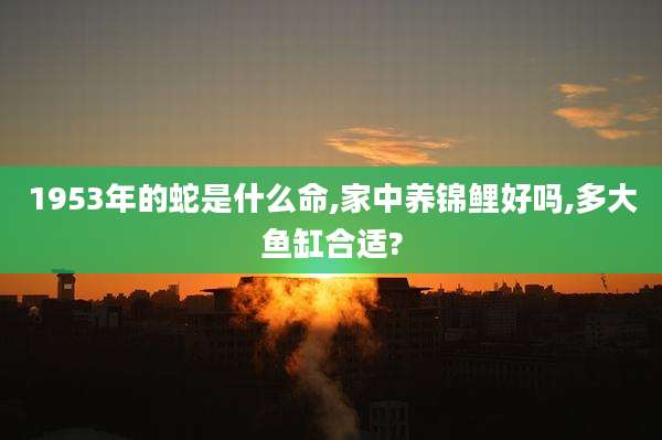 1953年的蛇是什么命,家中养锦鲤好吗,多大鱼缸合适?