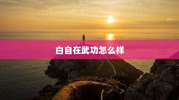 白自在武功怎么样