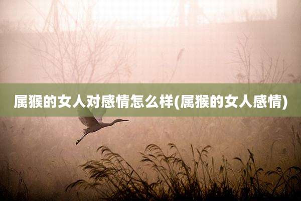 属猴的女人对感情怎么样(属猴的女人感情)