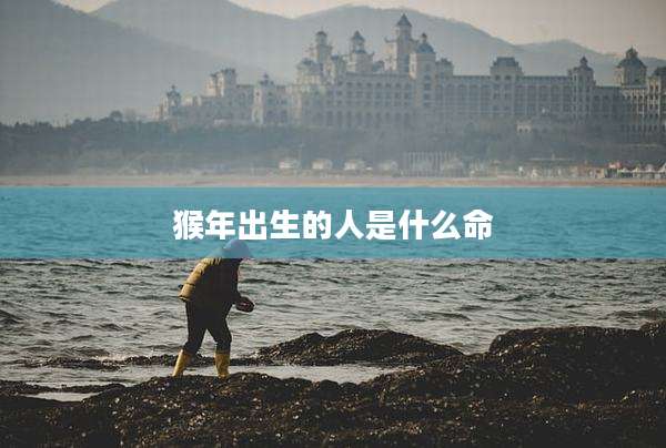 猴年出生的人是什么命