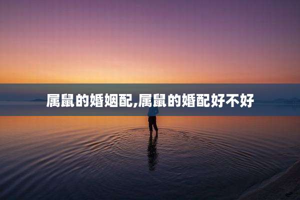 属鼠的婚姻配,属鼠的婚配好不好