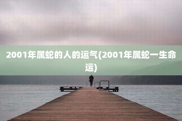 2001年属蛇的人的运气(2001年属蛇一生命运)