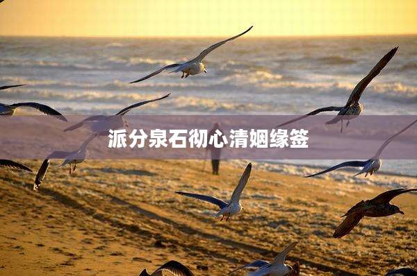 派分泉石彻心清姻缘签