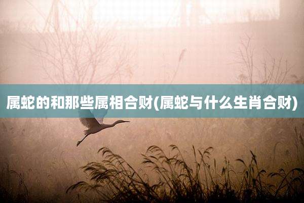 属蛇的和那些属相合财(属蛇与什么生肖合财)