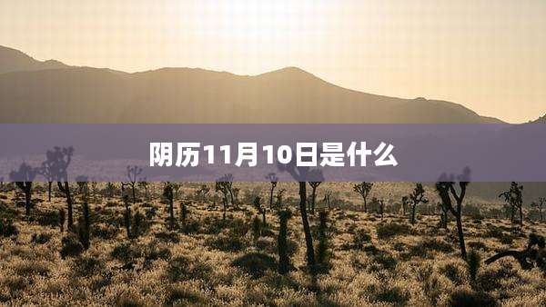 阴历11月10日是什么