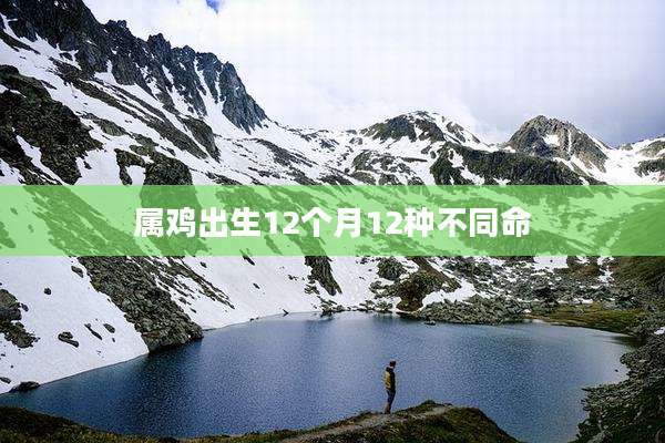 属鸡出生12个月12种不同命