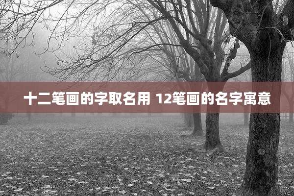 十二笔画的字取名用 12笔画的名字寓意