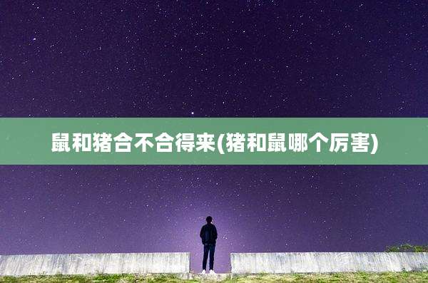 鼠和猪合不合得来(猪和鼠哪个厉害)