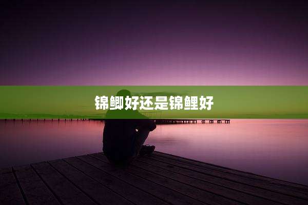 锦鲫好还是锦鲤好