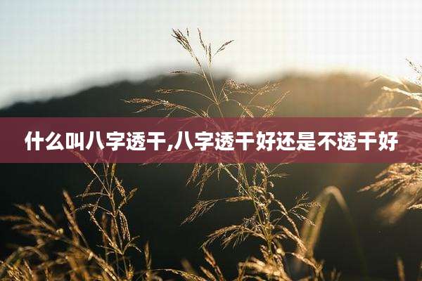 什么叫八字透干,八字透干好还是不透干好