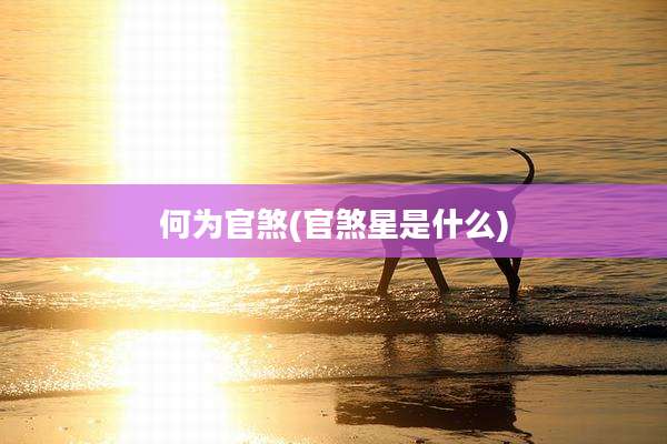 何为官煞(官煞星是什么)