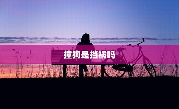 撞狗是挡祸吗