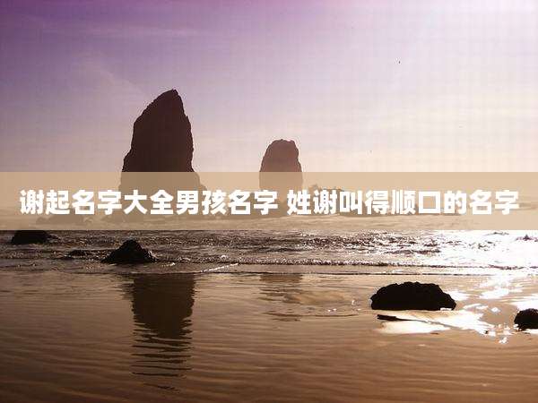 谢起名字大全男孩名字 姓谢叫得顺口的名字