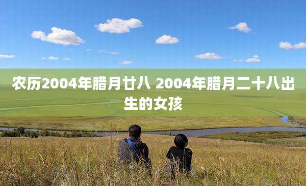 农历2004年腊月廿八 2004年腊月二十八出生的女孩