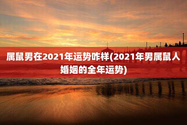 属鼠男在2021年运势咋样(2021年男属鼠人婚姻的全年运势)