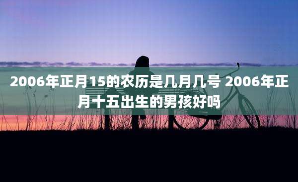 2006年正月15的农历是几月几号 2006年正月十五出生的男孩好吗