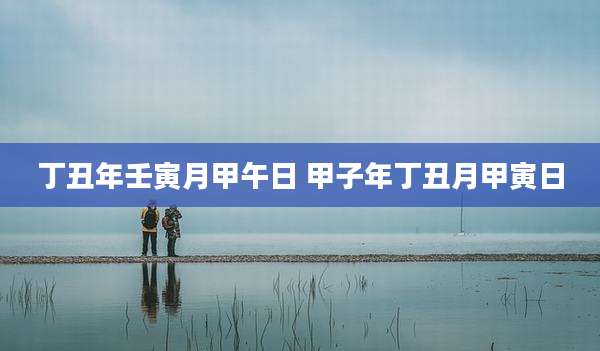 丁丑年壬寅月甲午日 甲子年丁丑月甲寅日