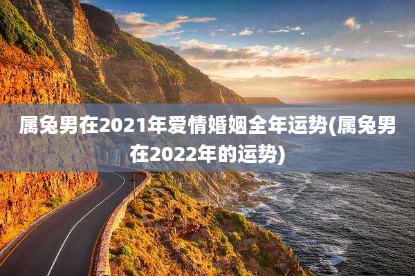 属兔男在2021年爱情婚姻全年运势(属兔男在2022年的运势)