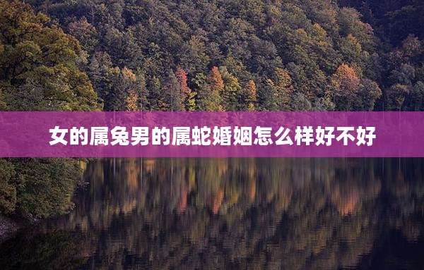 女的属兔男的属蛇婚姻怎么样好不好