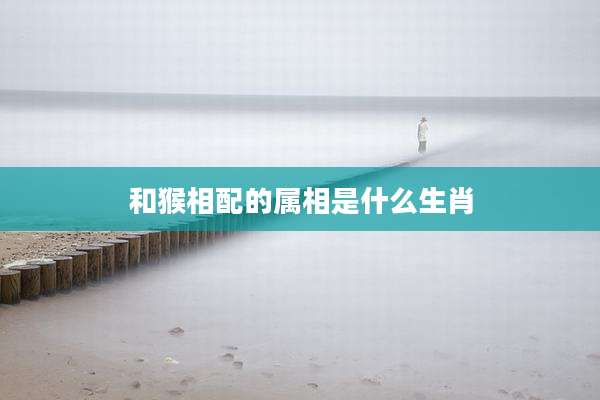 和猴相配的属相是什么生肖