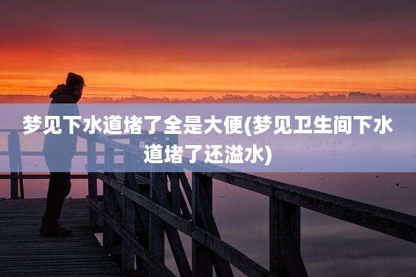 梦见下水道堵了全是大便(梦见卫生间下水道堵了还溢水)