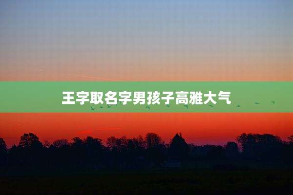 王字取名字男孩子高雅大气