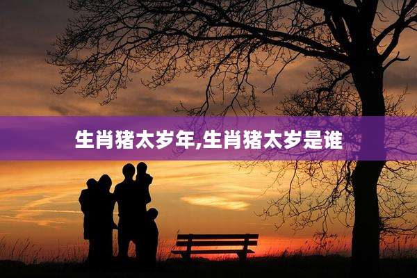 生肖猪太岁年,生肖猪太岁是谁