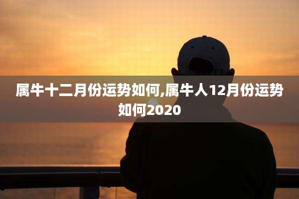 属牛十二月份运势如何,属牛人12月份运势如何2020