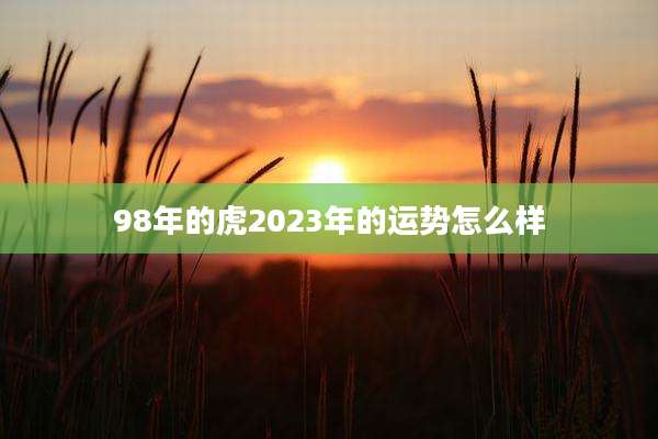 98年的虎2023年的运势怎么样