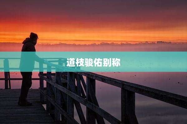 道枝骏佑别称