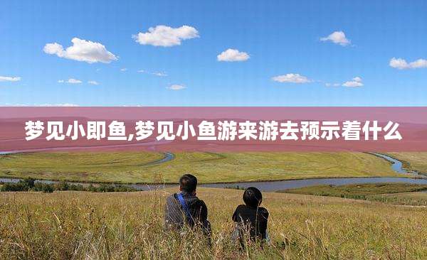 梦见小即鱼,梦见小鱼游来游去预示着什么