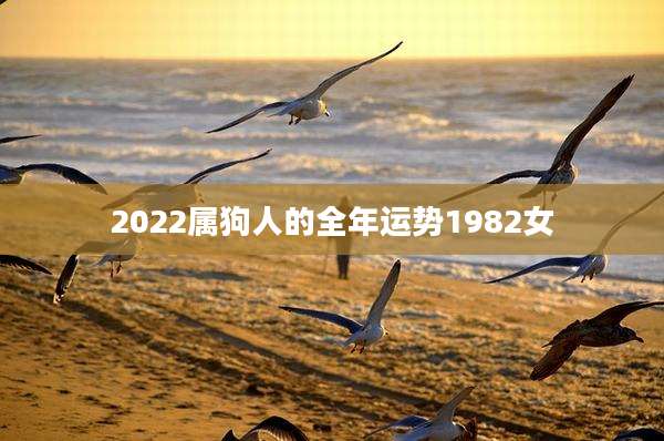 2022属狗人的全年运势1982女