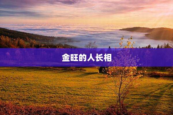 金旺的人长相