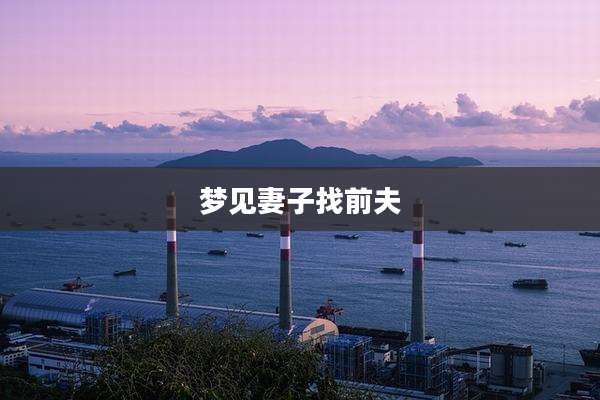 梦见妻子找前夫