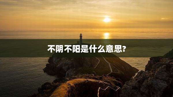 不阴不阳是什么意思?