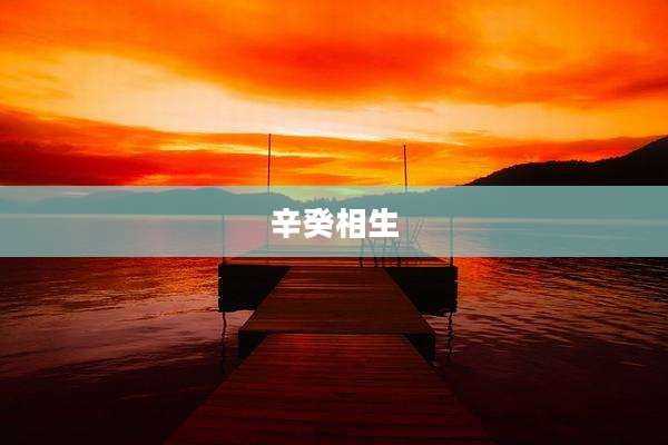 辛癸相生