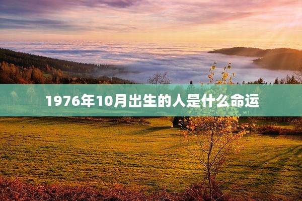 1976年10月出生的人是什么命运