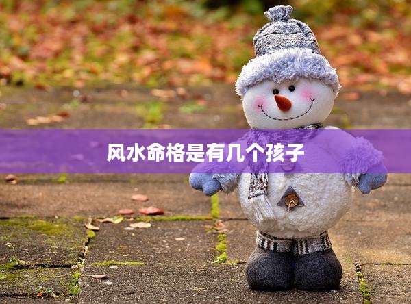 风水命格是有几个孩子