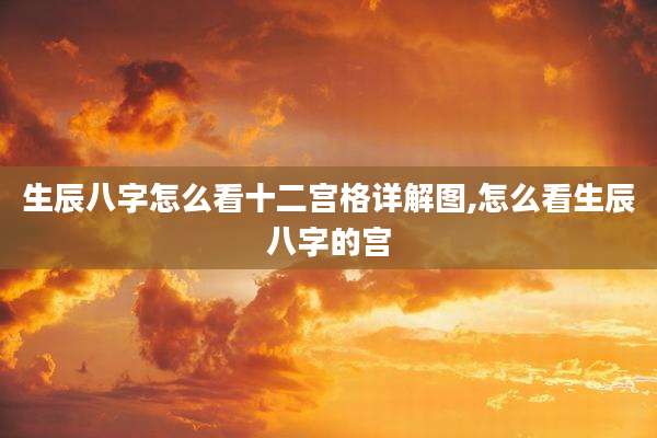 生辰八字怎么看十二宫格详解图,怎么看生辰八字的宫