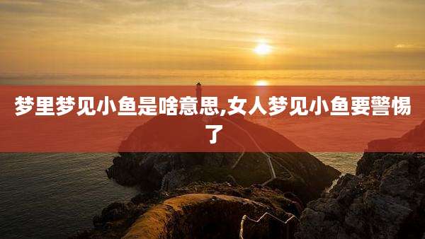 梦里梦见小鱼是啥意思,女人梦见小鱼要警惕了
