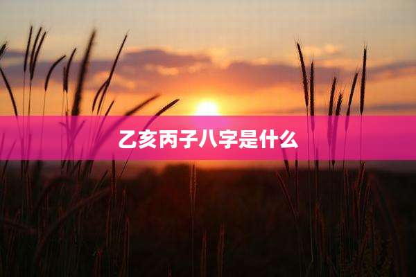 乙亥丙子八字是什么