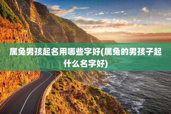 属兔男孩起名用哪些字好(属兔的男孩子起什么名字好)